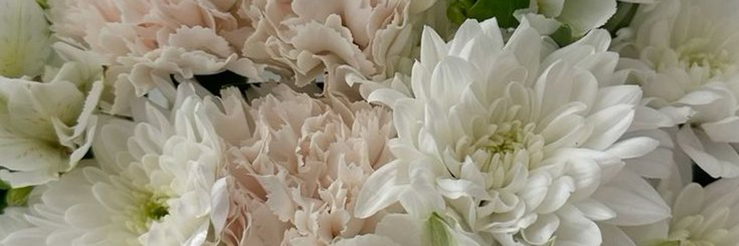 Jane_BingX's profile banner image