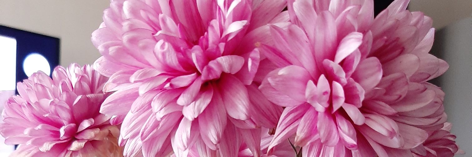 maternalesandra's profile banner image