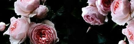 Rebcaro's profile banner image