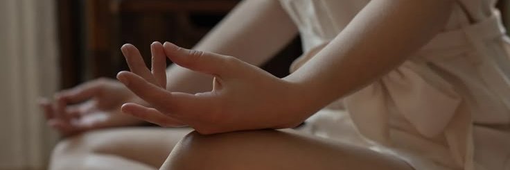 sofiafarahxo's profile banner image