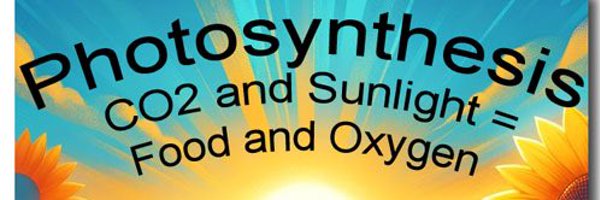 bakelso Profile Banner