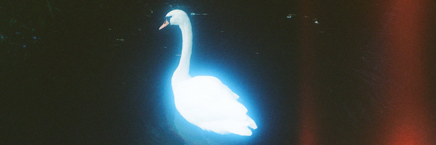 Tri Wahyu Aji banner