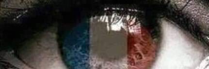 Shmoo Report. banner