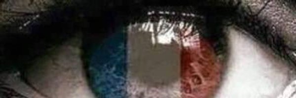 ShmooReport Profile Banner