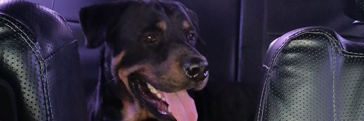iFRamirez's profile banner image
