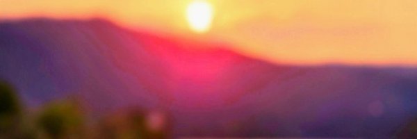 Magnanigroup_ Profile Banner