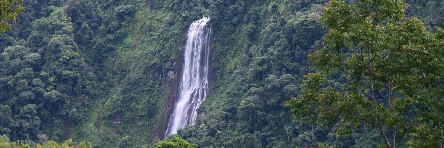 Randall P #ColiazulCulturalCommons $GIV banner