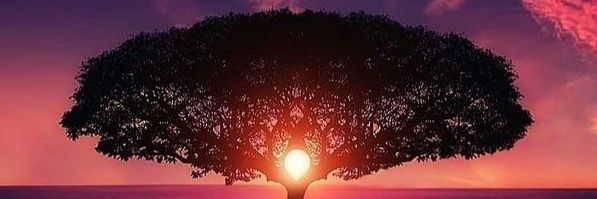 Airdrop Tracker banner