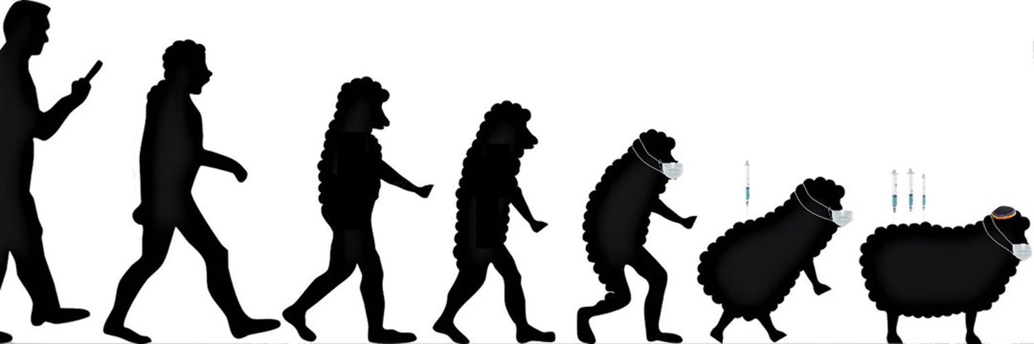 Loaves & Fishes banner