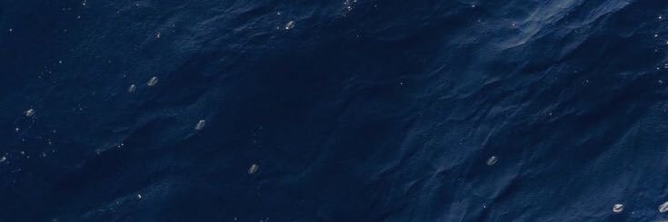 rara the explorer banner