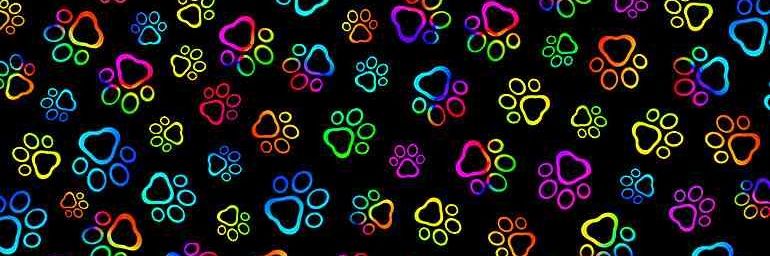 Rusty 🦴🐾 banner