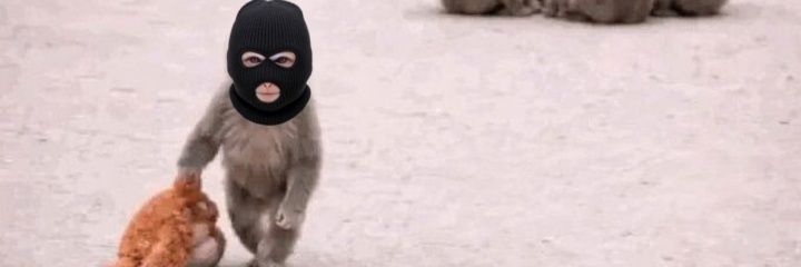 IDGAF 🎰 ☕ banner