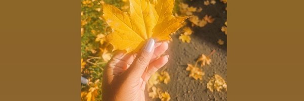 Minerva492156 Profile Banner