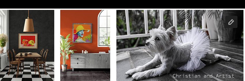 MissPetSitter's profile banner image