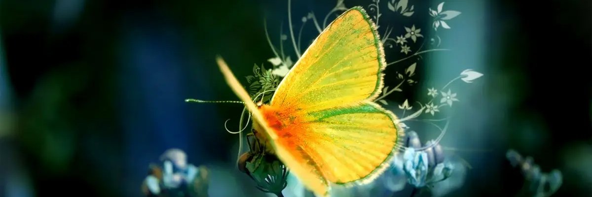 nanheroda's profile banner image