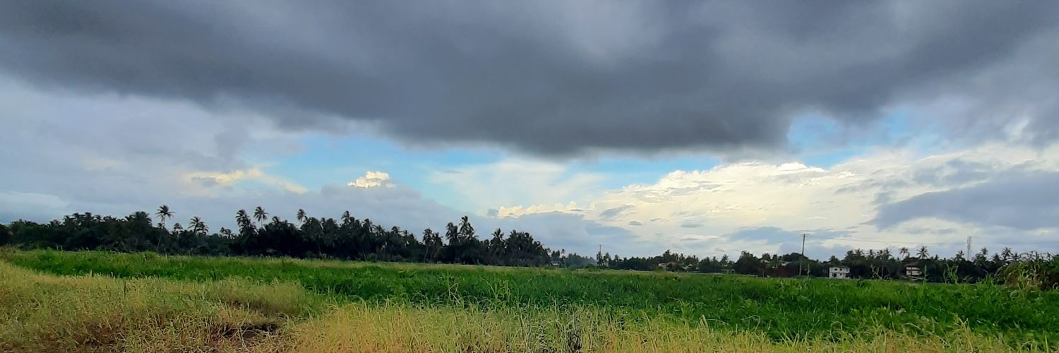 vilasalmeida's profile banner image