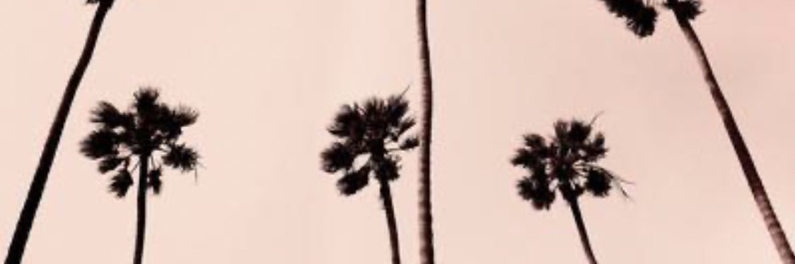 Twitter banner for @Basin
