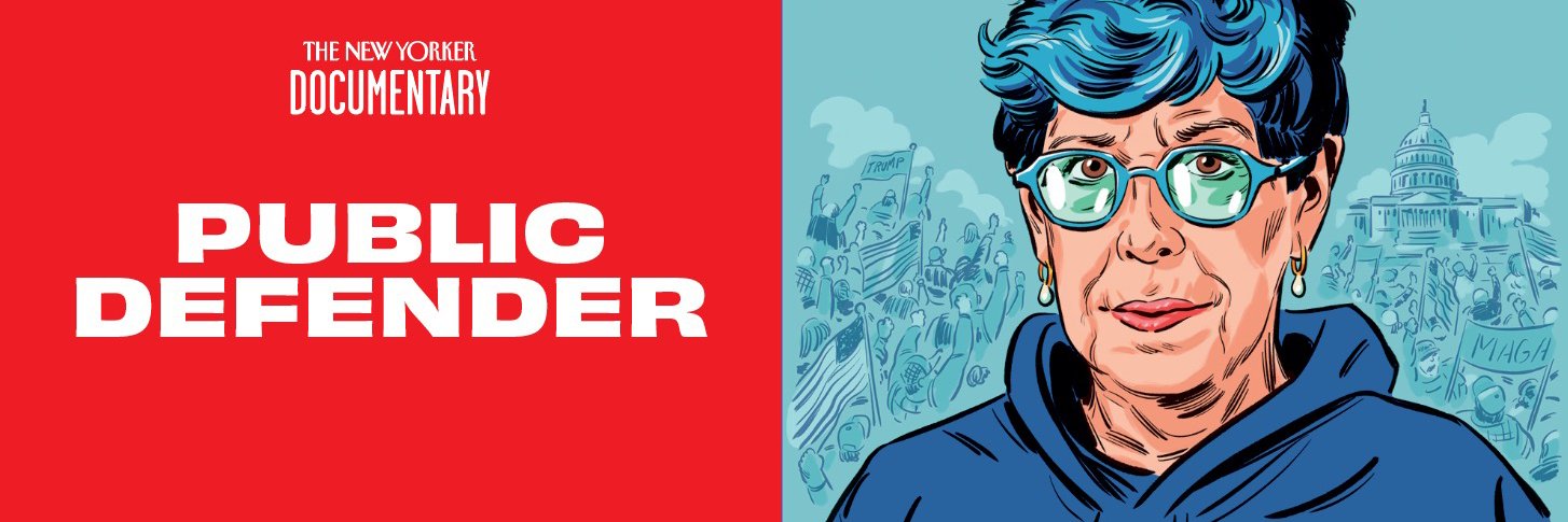 Public Defender banner