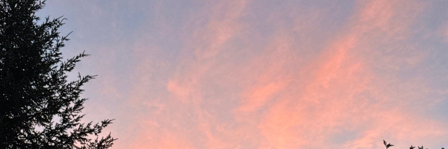 Miss(Mary)Jane banner