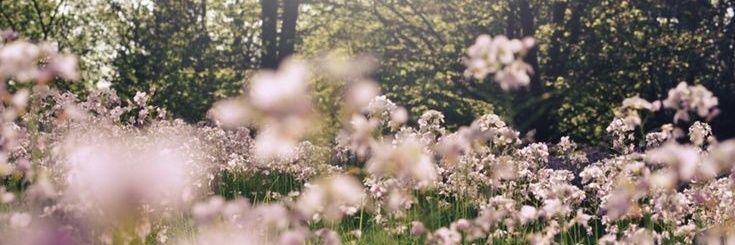 en banner