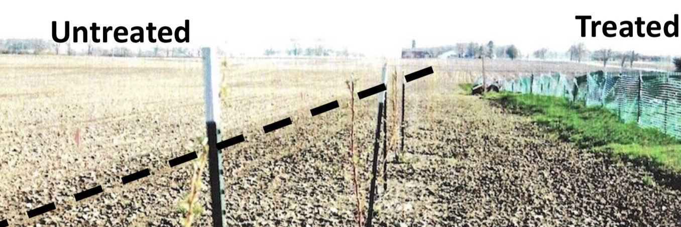 Feed The Famished Africa banner