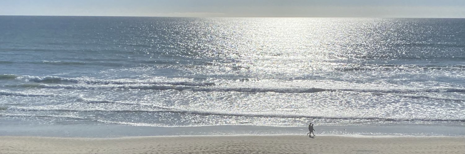 Sarah de Crescenzo banner