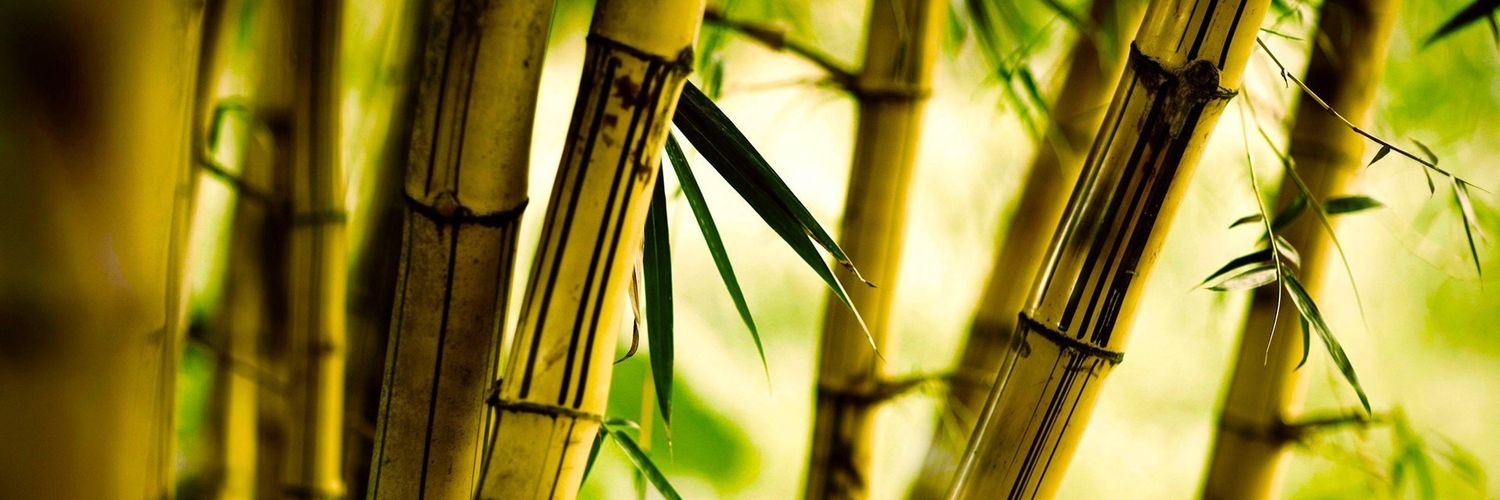 pradanasetyawan's profile banner image