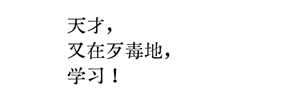 蔷薇科嗲精 banner