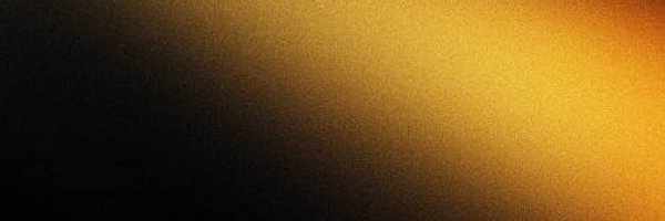 LPlecak77470 Profile Banner