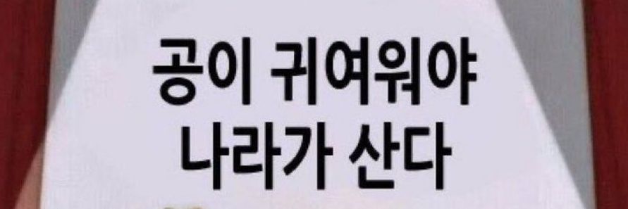 가능충's banner