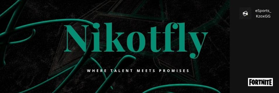 NikoTfly banner