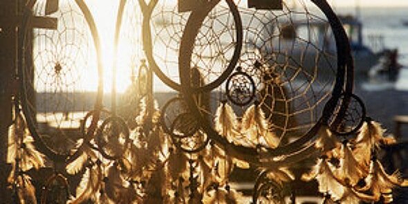 apyscher's profile banner image