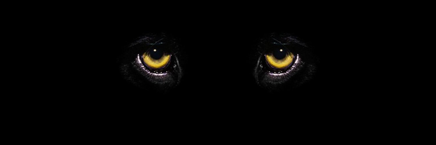 IoSonoIlRe3's profile banner image