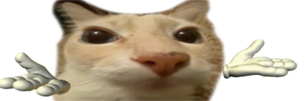 aal kalo ga rido banner