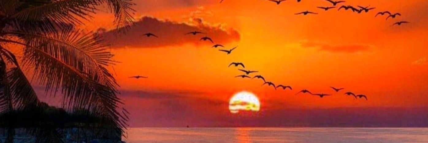 ابوعبدالرحمن banner