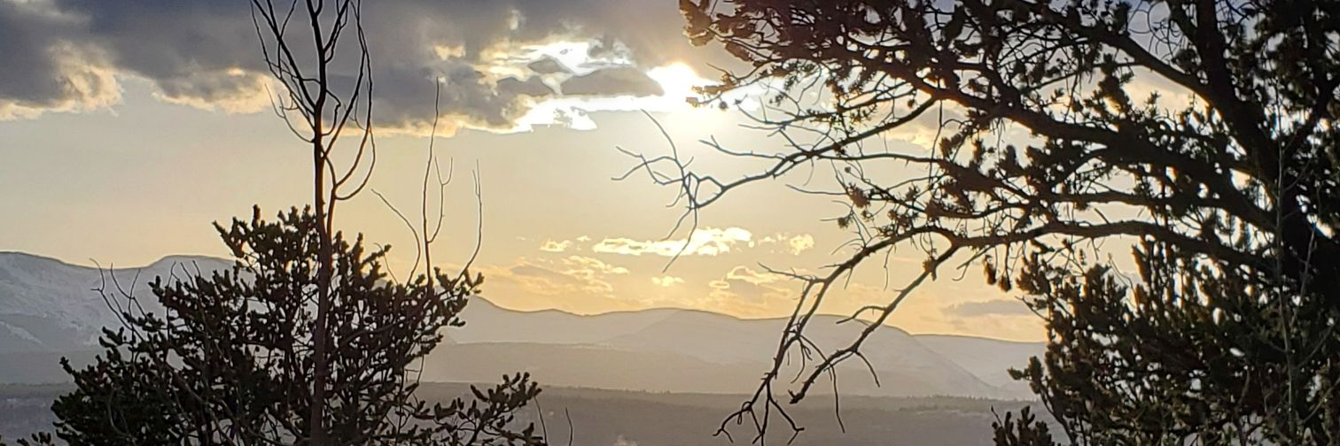 jadedrage247's profile banner image