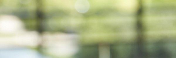 alyssa_farrell Profile Banner