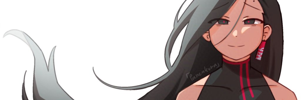 Pancakura banner