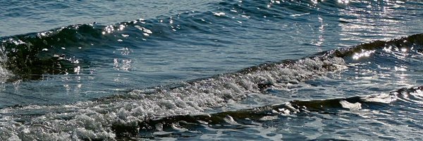 user_ddi Profile Banner