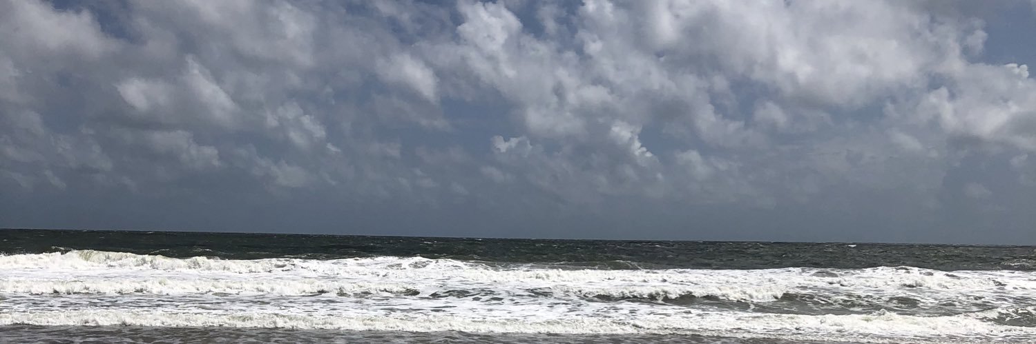 tealtimeB's profile banner image
