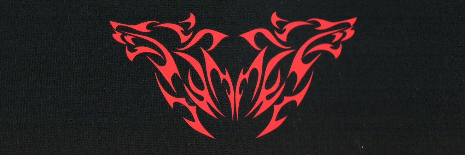 &TEAM SCANS's banner