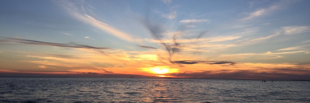 Héctor E. L. banner