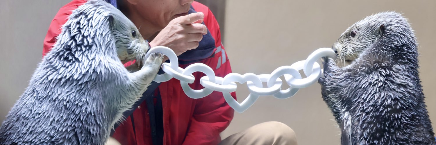 𝚞𝚜𝚊❁︎ banner