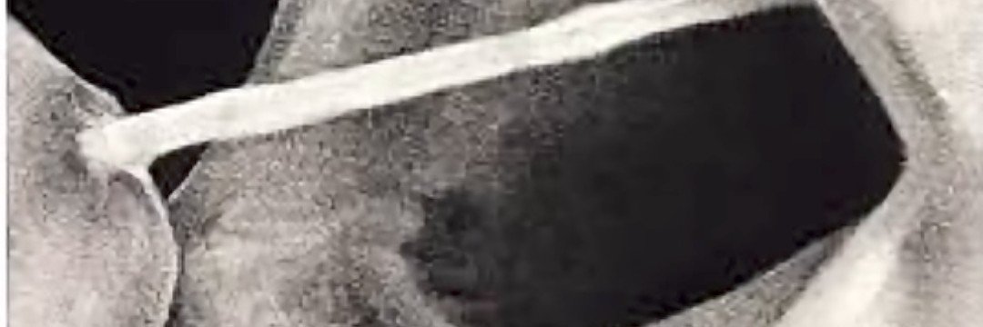 segurid65564355's profile banner image