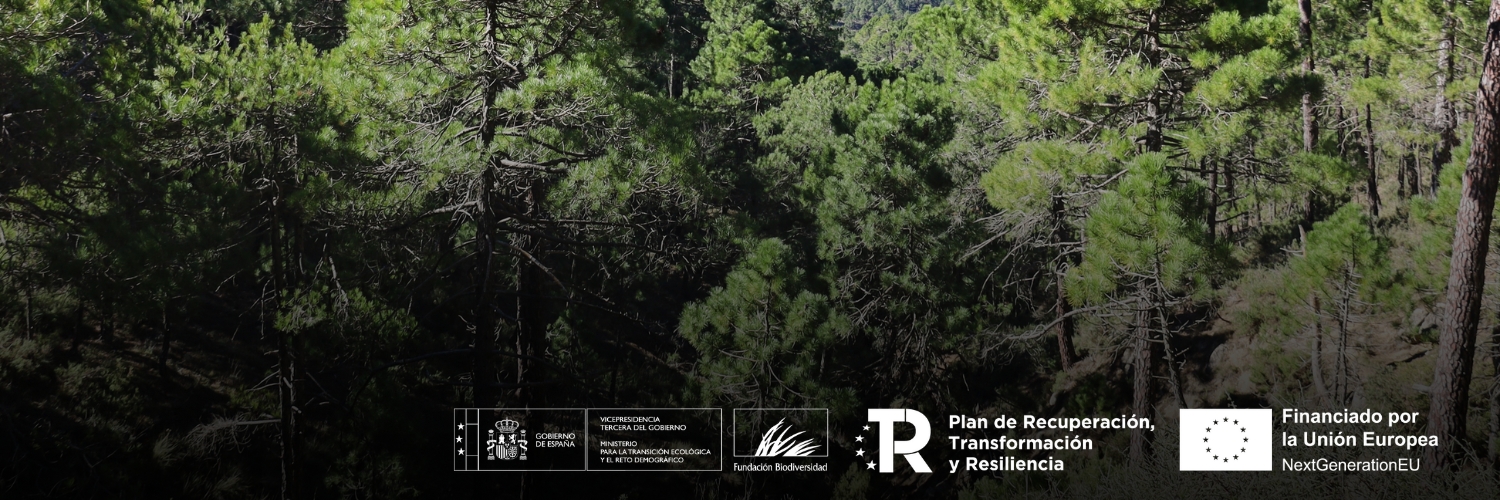 Red Estatal de Montes Públicos (REMP) banner