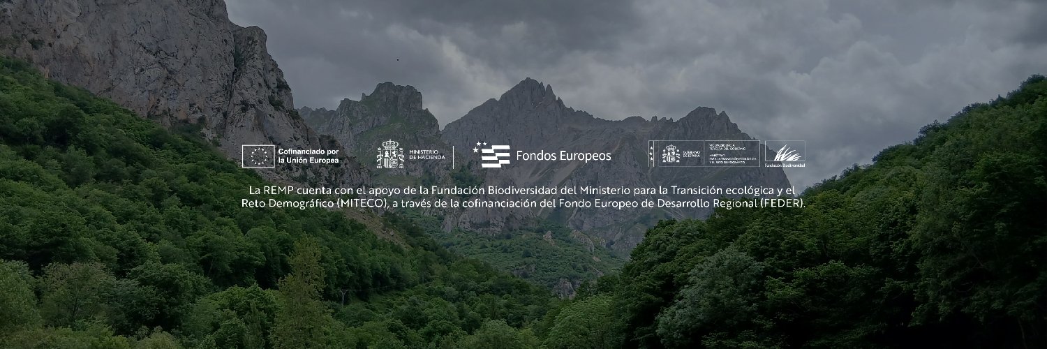 Red Estatal de Montes Públicos (REMP) banner