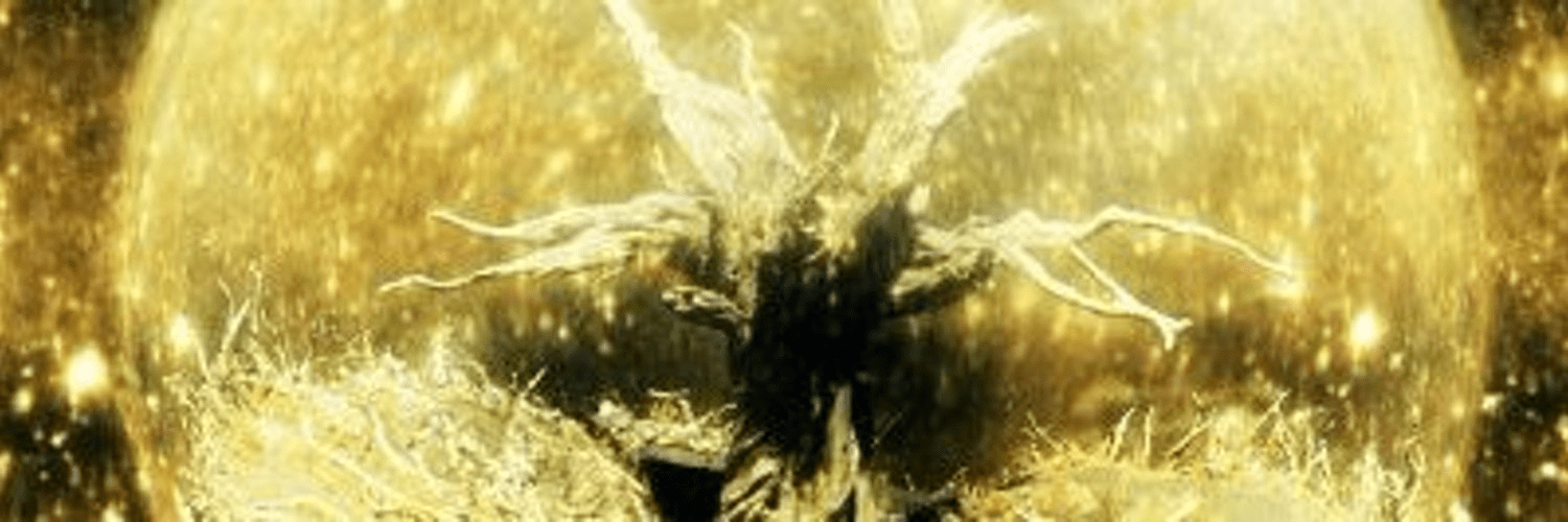 GCRonSol banner
