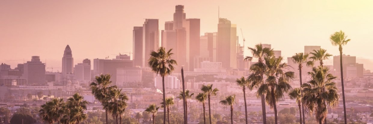 ✨Nuria Santamaría Wolfe✨ banner