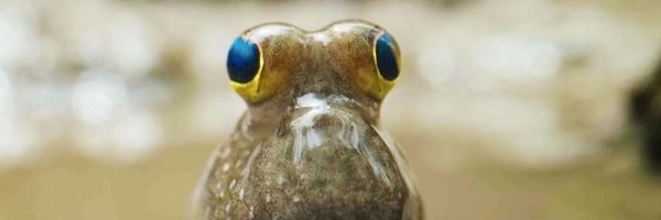 TransGirl Profile Banner