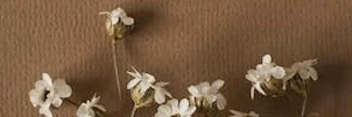 theonlydothraki's profile banner image